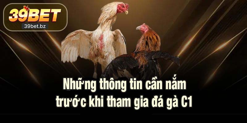 Những thông tin cần nắm trước khi tham gia đá gà C1