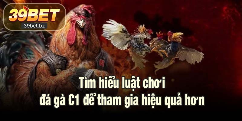 Tìm hiểu luật chơi đá gà C1 để tham gia hiệu quả hơn