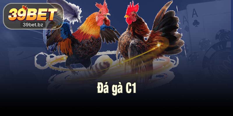 Đá Gà C1