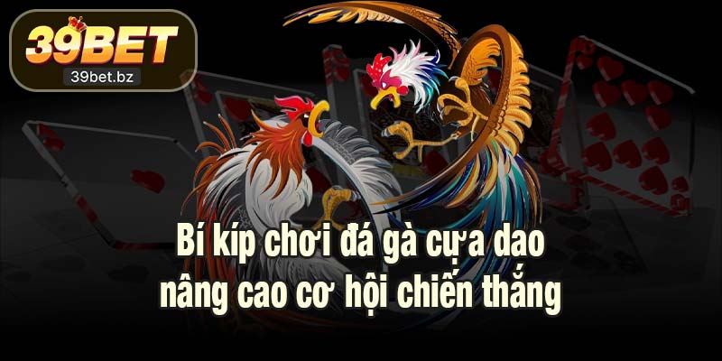 Bí kíp chơi đá gà cựa dao nâng cao cơ hội chiến thắng
