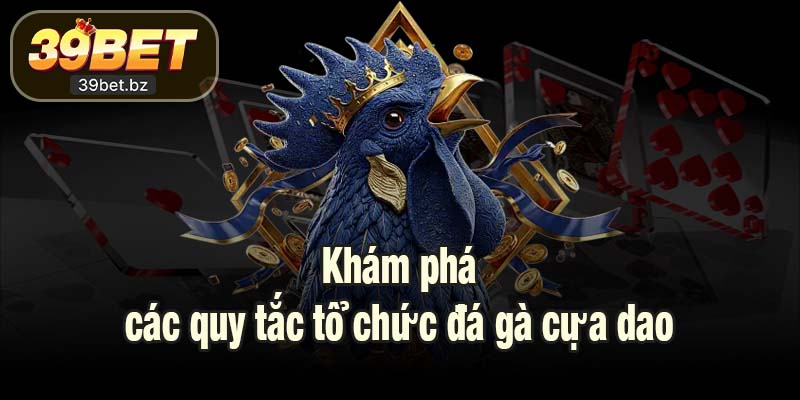 Khám phá các quy tắc tổ chức đá gà cựa dao
