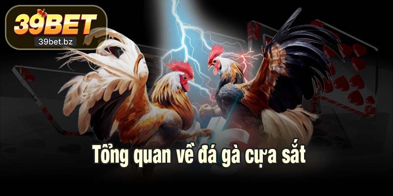 Tổng quan về đá gà cựa sắt