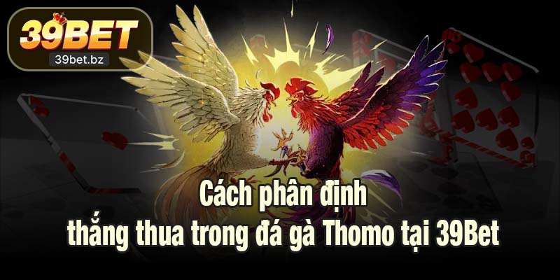 Cách phân định thắng thua trong đá gà Thomo tại 39Bet