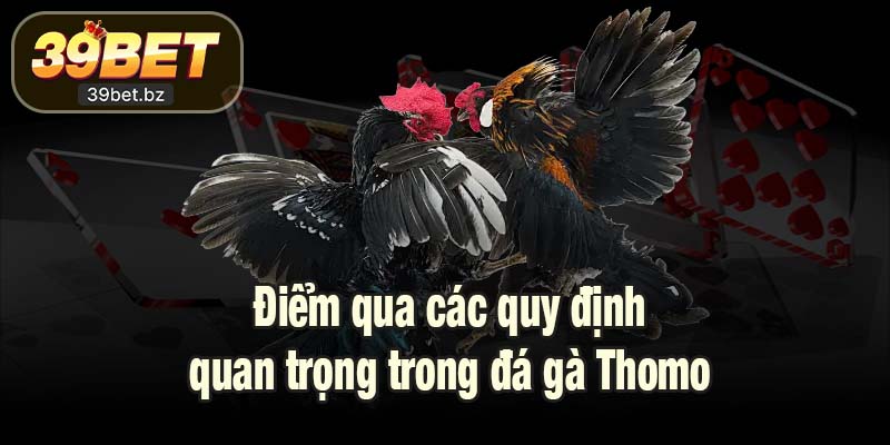 Điểm qua các quy định quan trọng trong đá gà Thomo