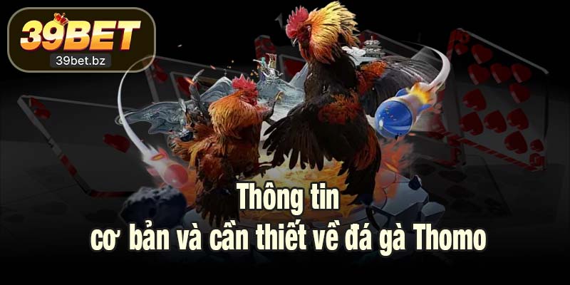 Thông tin cơ bản và cần thiết về đá gà Thomo