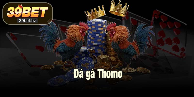 Đá gà Thomo